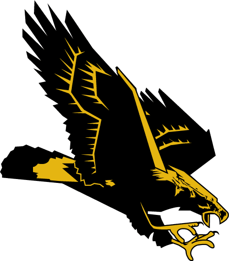 Southern Miss Golden Eagles 1990-2002 Secondary Logo DTF decal sticker